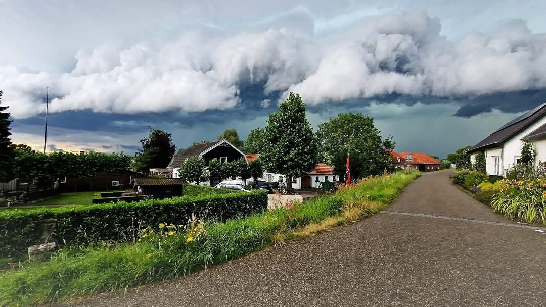 FB_IMG_1748963611190.jpg FB_IMG_1748963611190.jpg